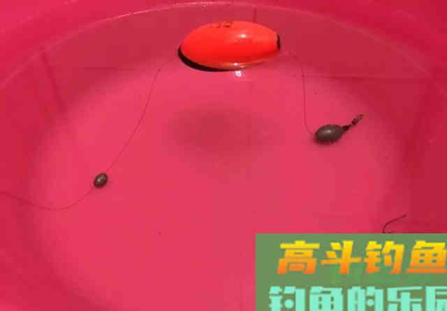 换支浮漂就能解决走水问题？别被骗了，遇到走水你该这样做