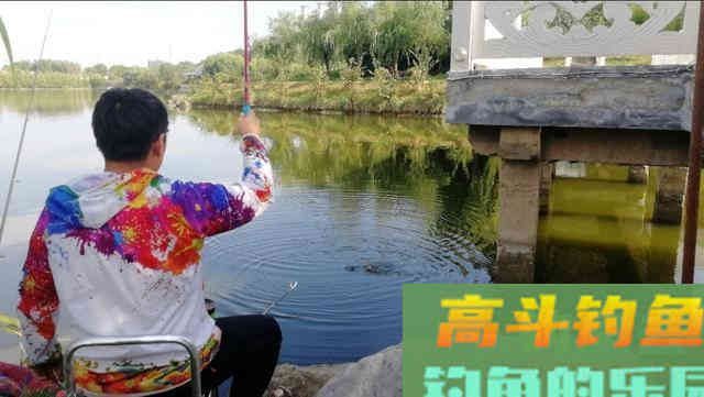 带钩调平水钓几目，钩重一定要明确，不然会过钝