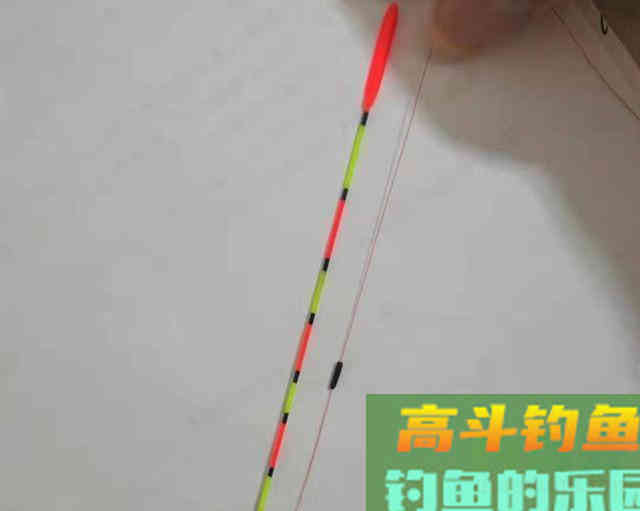 干扰浮漂信号“灵”与“钝”的因素有哪些