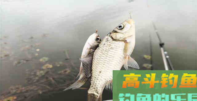 钓鱼时漂相凌乱不堪，试试这些方法，即可“药到病除”