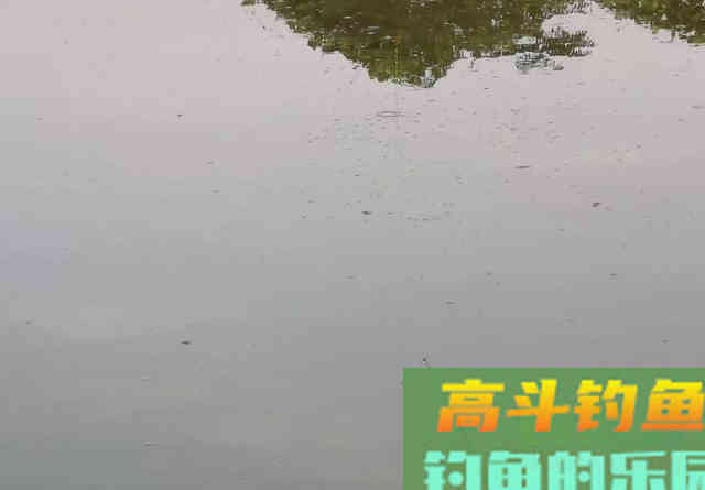 野钓如何调漂最灵敏？信号多只是假灵敏，命中率才对