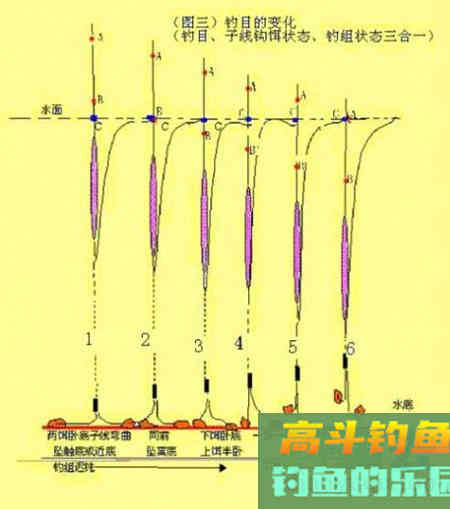 浅谈双调目浮漂调钓法的灵活应用