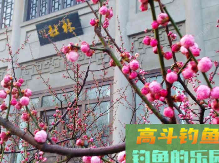 针对不同的作钓水域，是如何来前期找底与调钓