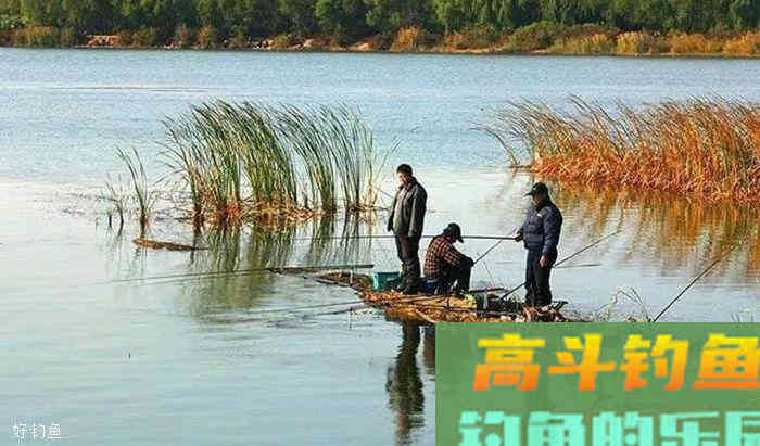 钓鱼选漂调漂记住这三方面就足够了