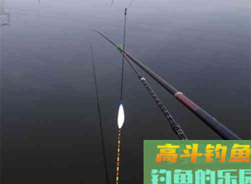 野钓鱼情复杂，调漂钓灵还是钓钝？2个技巧解析
