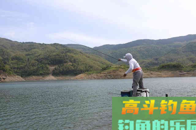 秋天钓鲤鱼，老钓手这么“调钓”，上鱼率高的不像话