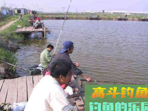 超简单的野钓调漂法，不一定非要调四钓二