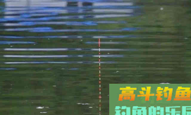 走水钓不到鱼？调漂的错误，这4种方式你用哪一种