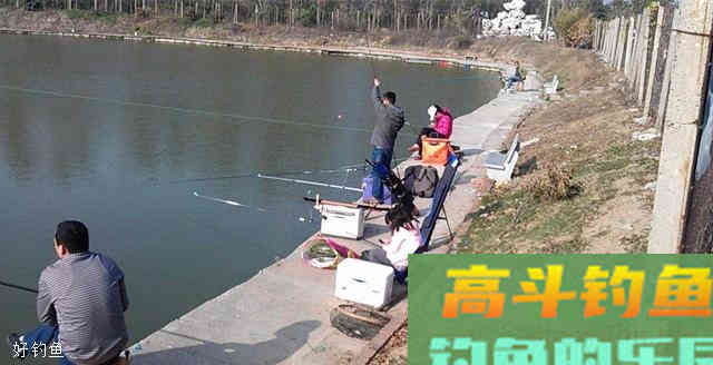 如何看懂台钓钓浮的漂相，来进行调漂？