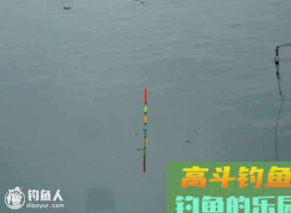 调漂灵钝的最佳平衡点之新说
