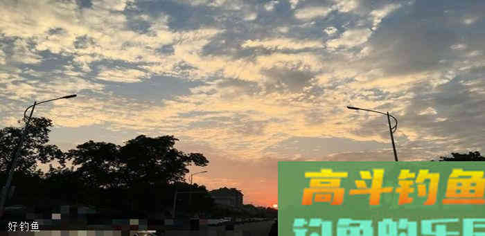 深秋野钓鲫鱼该如何调漂？
