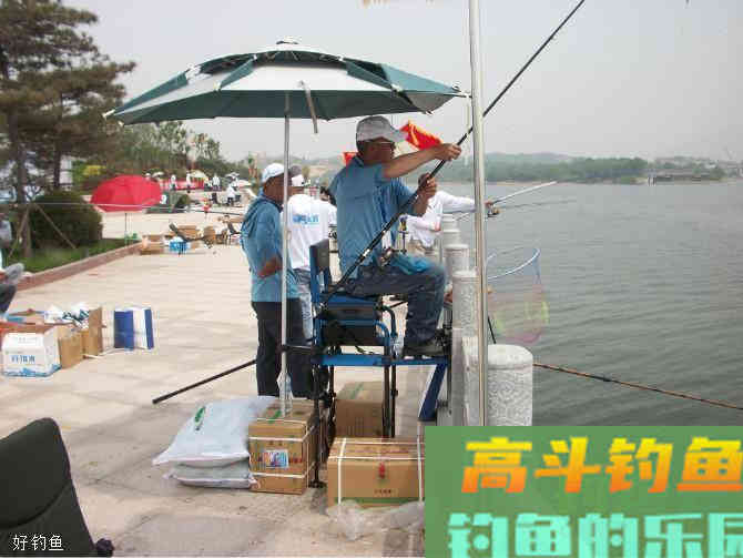 调灵还是调顿？看老钓鱼人分享台钓调漂原则