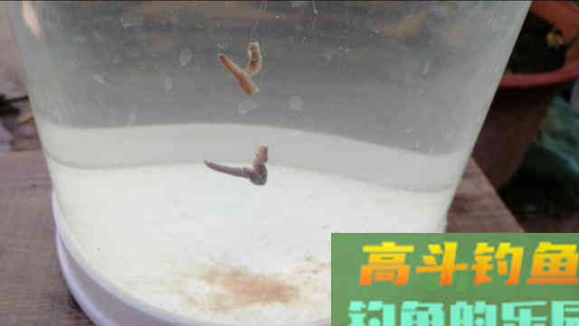 全网最详细的调漂讲解，这样在新手也能理解