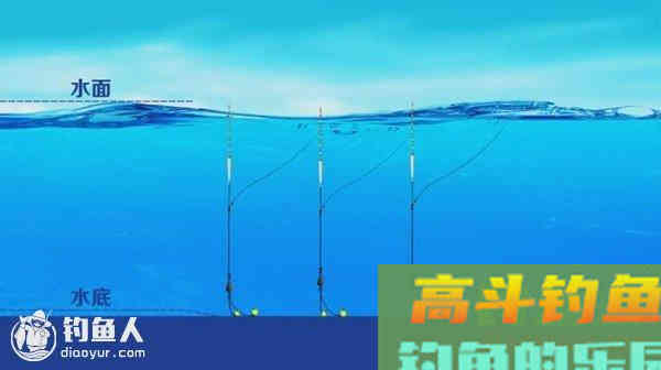 底钓大鱼的调钓技巧详解