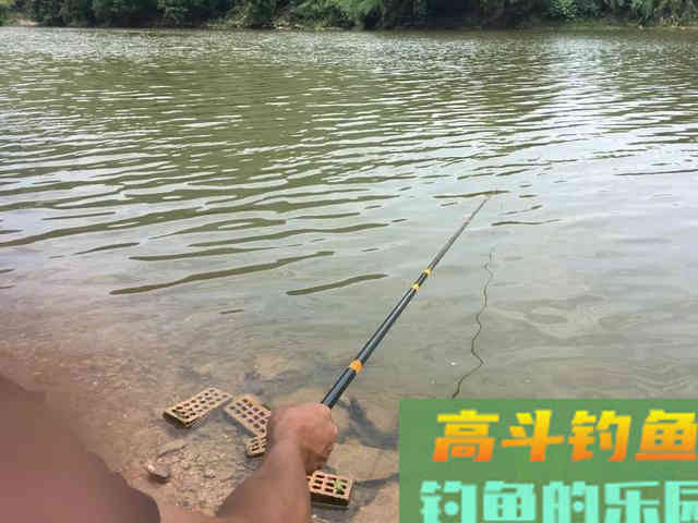 野钓大鱼难调漂？调低目和调高目的主要区别在这