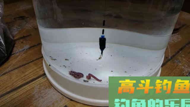 还在纠结怎么调漂吗？看老钓友全方位为你分析