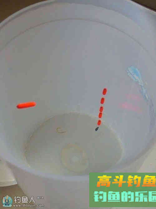 冬钓鲫鱼的星漂传统线组调漂技巧