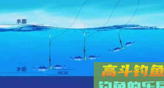 这是我钓鱼16年积累的调漂经验，钓鱼人就得进益求精