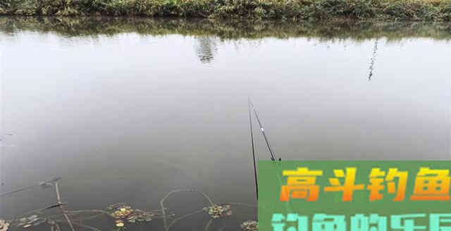 钓鱼时漂相凌乱不堪，试试这些方法，即可“药到病除”