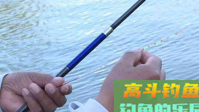 钓目选择钓高还是钓低呢？老钓友的答案