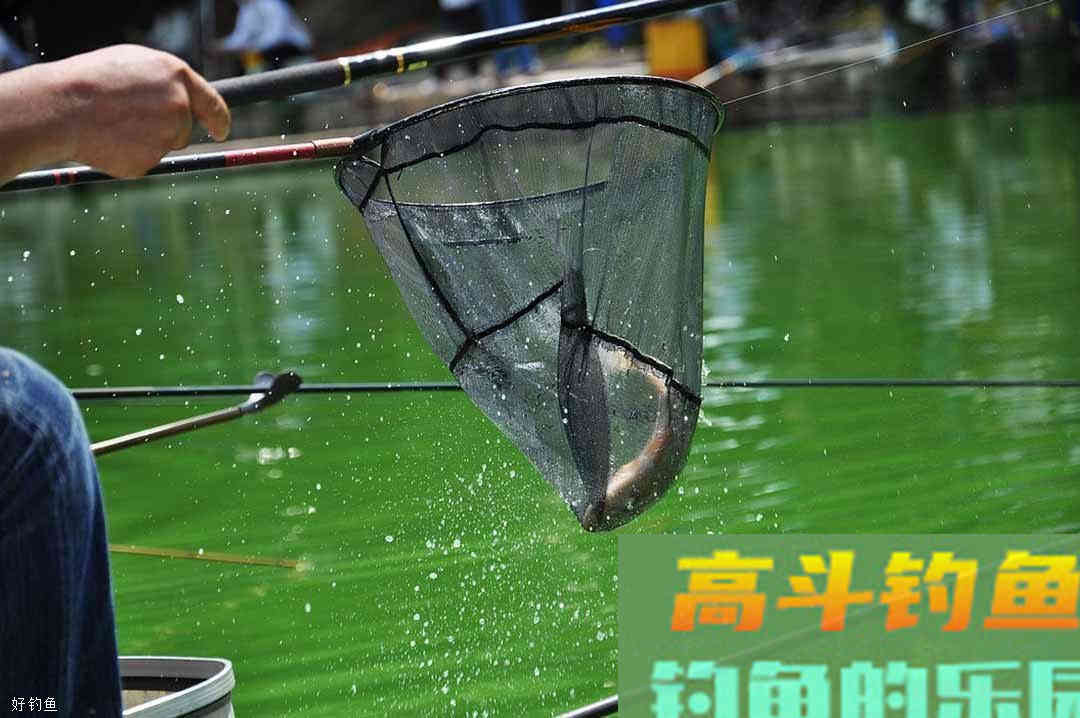 小崔解读：钓鱼调漂的正确方法到底是怎样的