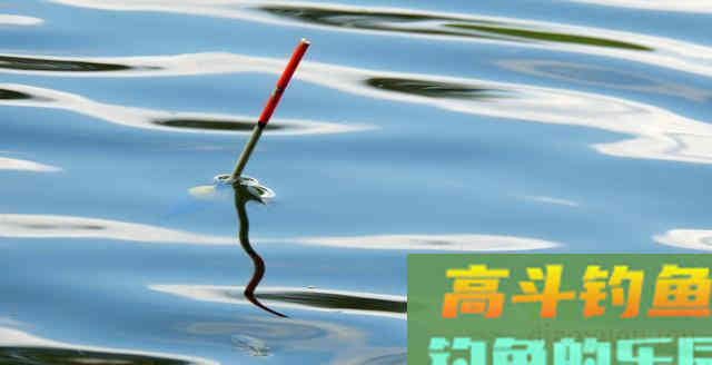 深度解析钓鱼看漂应如何正确抓口？提高中鱼率！