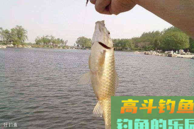 简易实用调漂法，从此钓鱼不迷惑