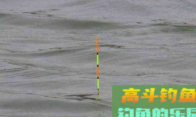 用红虫钓鱼怎么调漂？注意四个点