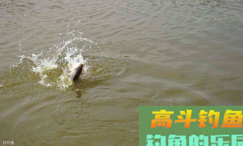 精确调漂找底最佳方法就是用饵来找底
