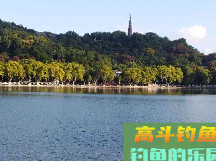 浮漂性能与调钓技巧，调好漂是爆护最关键一步