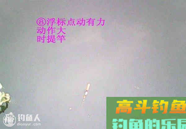 图解鲫鱼的常见咬钩信号漂像