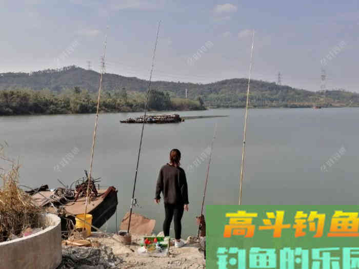野钓，调平水，还是调几钓几好？待家研究钓