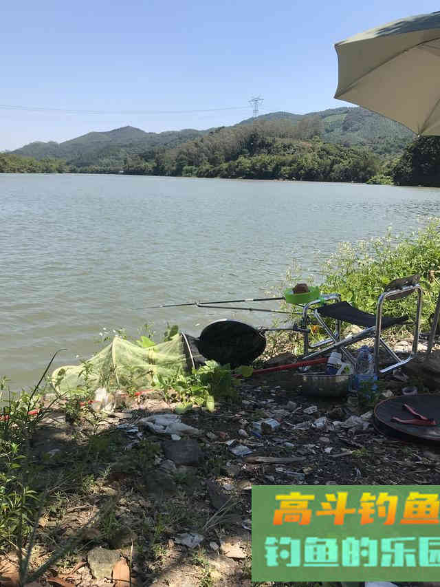 根据水底情况调漂，提高中鱼率，不再有鱼星但没鱼口