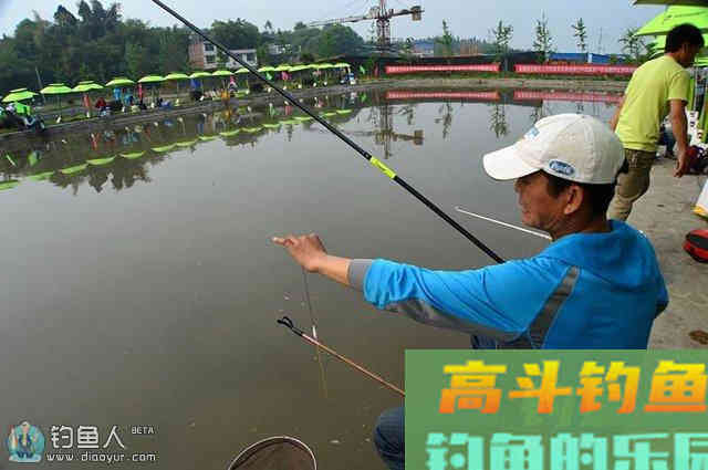 根据水情和鱼情灵活调整浮漂的技巧