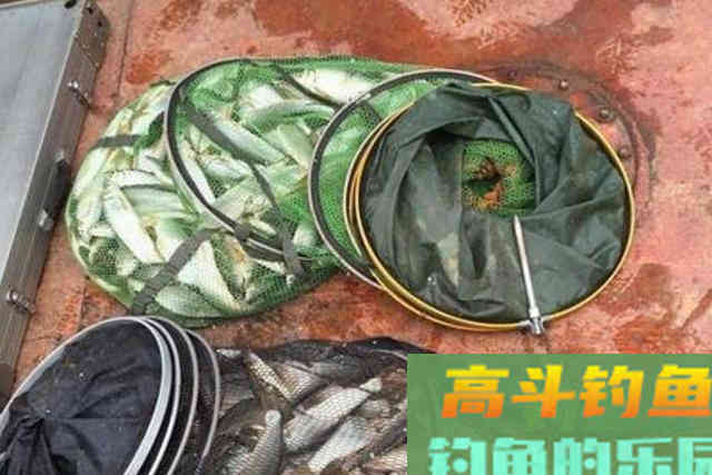 难怪总是钓不好鱼，原来这才是浮漂调钓的精髓