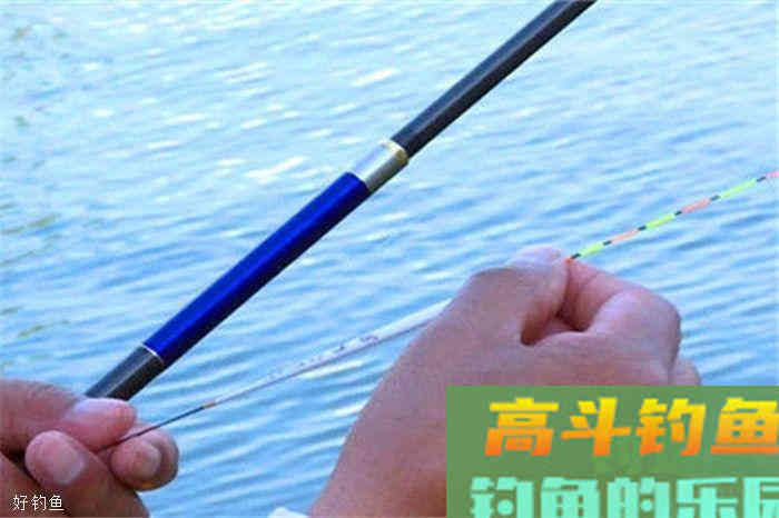 野钓调漂技法分享，快速而实用