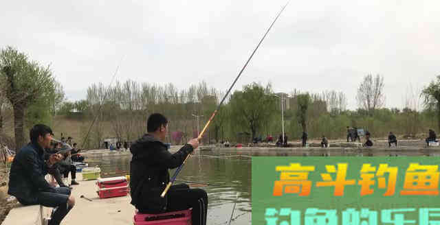 深度解析钓鱼看漂应如何正确抓口？提高中鱼率！