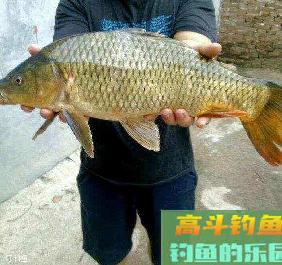 五个步骤，有效解决钓鱼调漂问题