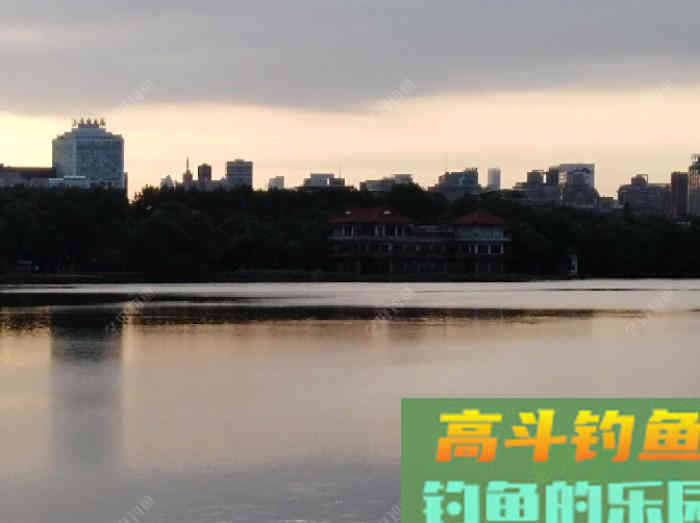 资深钓手分享的台钓找底与调钓的操作心得