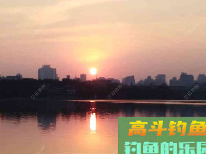 调钓灵与钝反映在子线上的表现，调漂概念由浅入深解析