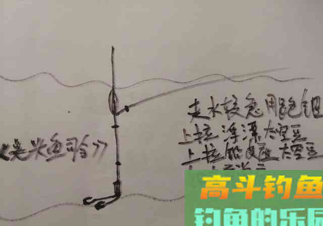 走水钓不到鱼？调漂的错误，这4种方式你用哪一种