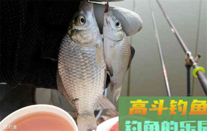 调漂常见的四个关于”底“的名词解析