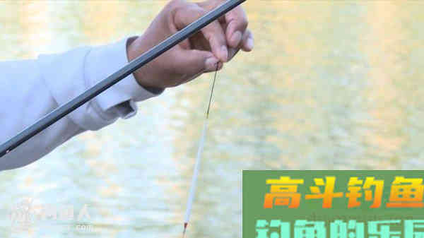 关于钓鱼调漂研究的几点疑问与看法