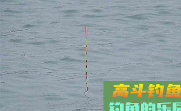 钓鱼调漂技巧：注意这两个要点，调漂方法都是通的