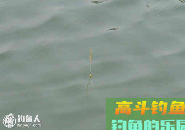 浅谈钓鱼浮漂的材质鉴定及调钓的运用