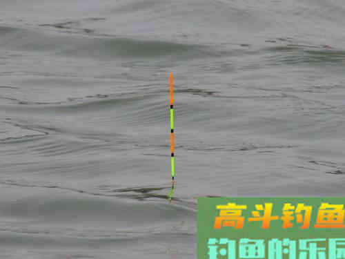 野钓中，精准调漂是很有必要的