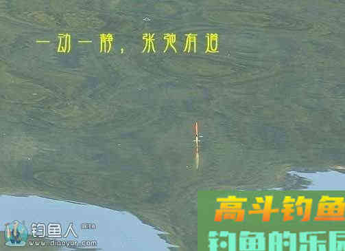 垂钓自然水域应对走漂的三大对策