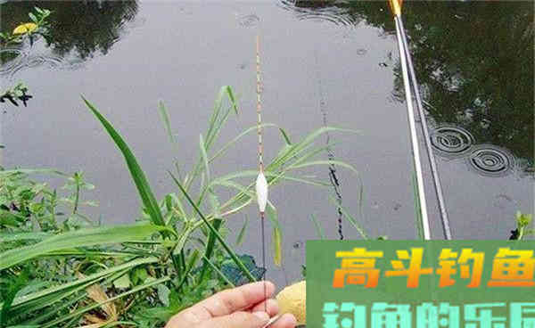 野钓调漂调不准，是哪些原因导致的？
