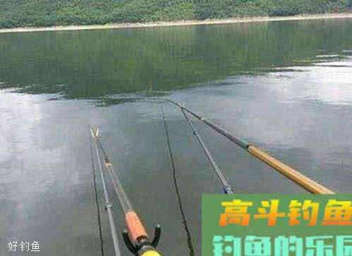 台钓怎么钓灵钓顿？要看实际鱼情