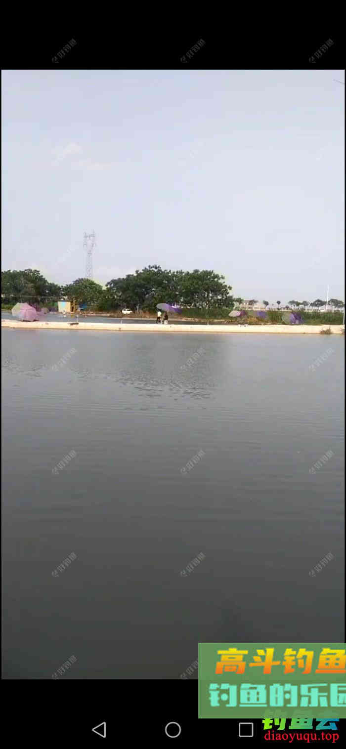 台钓中的钓浮怎么调漂？怎样算钓灵敏